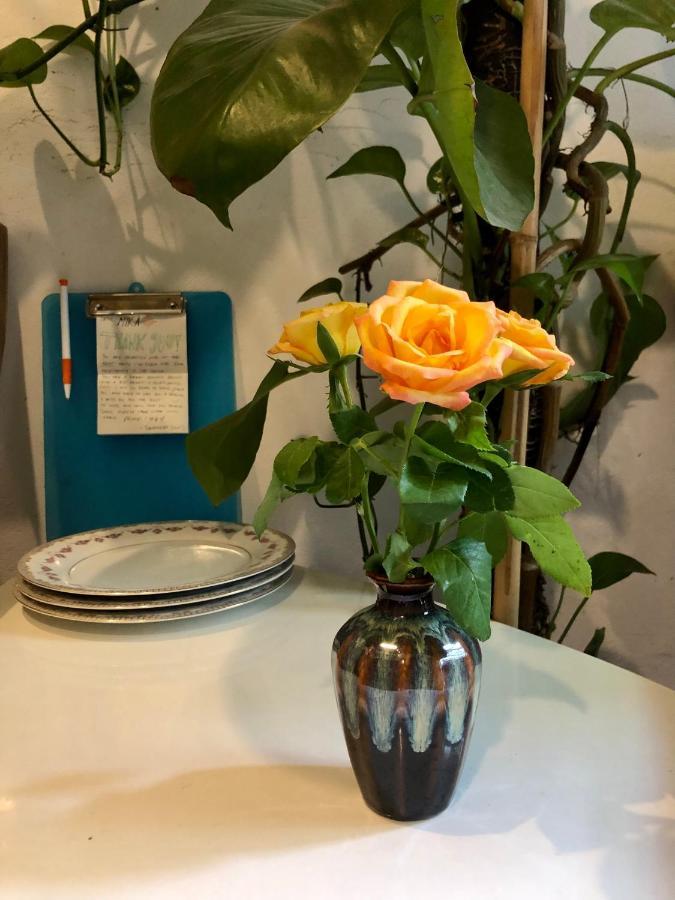 Simple & Cozy Hanoi Homestay Exteriör bild